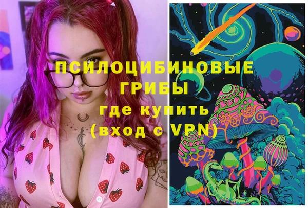 ГАЛЛЮЦИНОГЕННЫЕ ГРИБЫ Беломорск