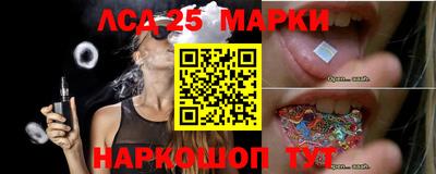 спиды Кинель