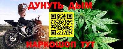 трава Кингисепп