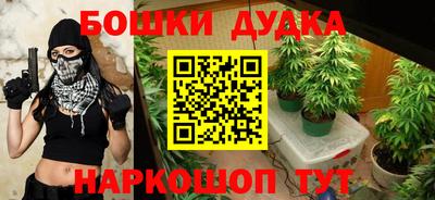 спиды Кинель