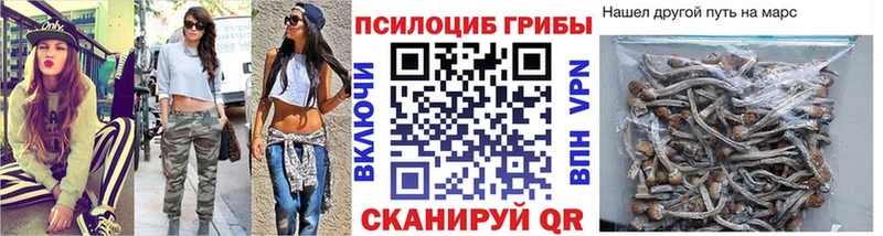 купить наркотики цена  Луховицы  Галлюциногенные грибы Psilocybe 